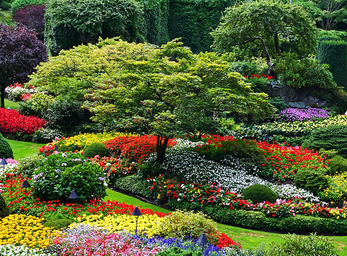 Butchart Gardens Tour - Child's Rate